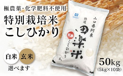 A052 「田楽米」コシヒカリ50kg≪エコやまぐち50認証取得≫