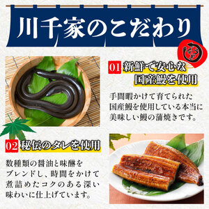 鰻蒲焼 3尾 うなぎ 【 鰻 】