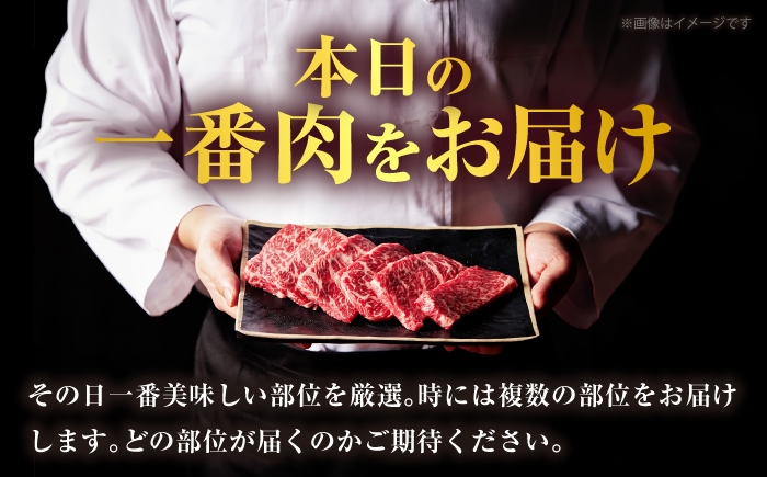 A5ランク 赤身ステーキ 黒毛和牛 ステーキ肉 佐賀牛 贈答用  ローストビーフ
