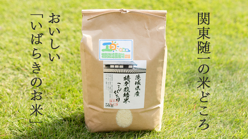 令和7年産 茨城県産 精米 特別栽培米 コシヒカリ 10kg （5kg×2袋）