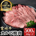 【ふるさと納税】宮崎牛 カルビ焼肉(500g) 牛肉 肉 ブランド牛 冷凍 国産 精肉 お取り寄せ 黒毛和牛 宮崎県 【LJ010】【レグセントジョイラー株式会社】