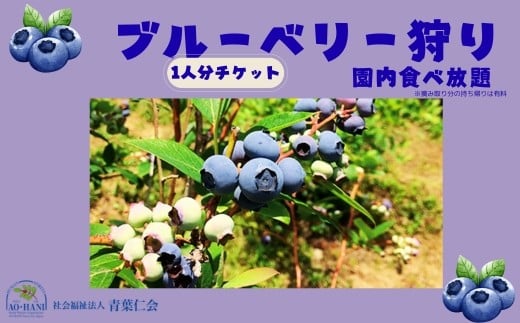 
            ブルーベリー狩りチケット大人1名 あおはにブルーベリー園 観光 チケット フルーツ狩り 食べ放題 甘い   青葉仁会 なら 奈良県 奈良市 2-001
          