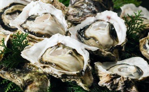 【絶品海鮮炊き込みご飯】海士のいわがきの炊き込みご飯の素_イメージ3