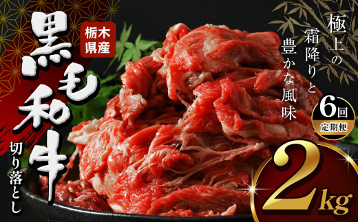 【定期便6回】 栃木県産牛 黒毛和牛 切り落とし 2.0kg | 黒毛 和牛 牛肉 焼肉 とろける 霜降り 赤身 切り落とし ふるさと 納税 イチオシ おすすめ 栃木県 下野市 しもつけ市
