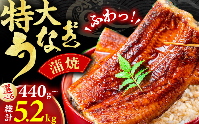 
            【選べる定期便】特大蒲焼（220g×2尾）うなぎ 鰻 ウナギ 土用の丑の日 鰻 大きい かば焼き 蒲焼き うなぎ 広川町 / イールファクトリー株式会社 [AFBS005]
          