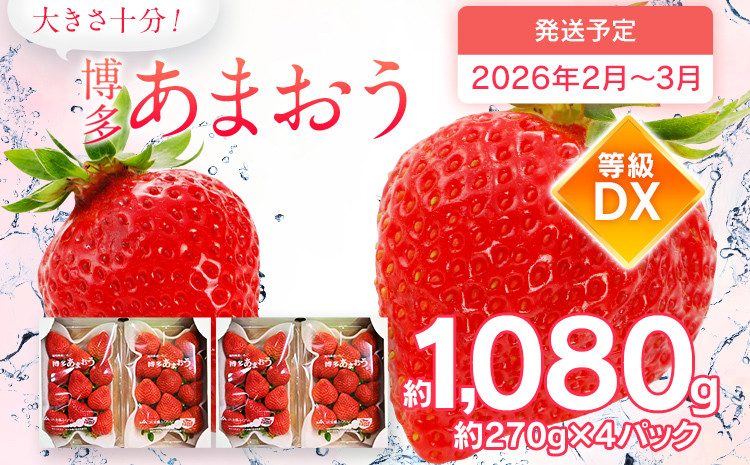 
            先行予約 あまおう 合計約1,080g 約270g×4パック DX 福岡県産 九州 イチゴ いちご 苺 果物 くだもの フルーツ 送料無料【2026年2月～2026年3月順次発送】
          