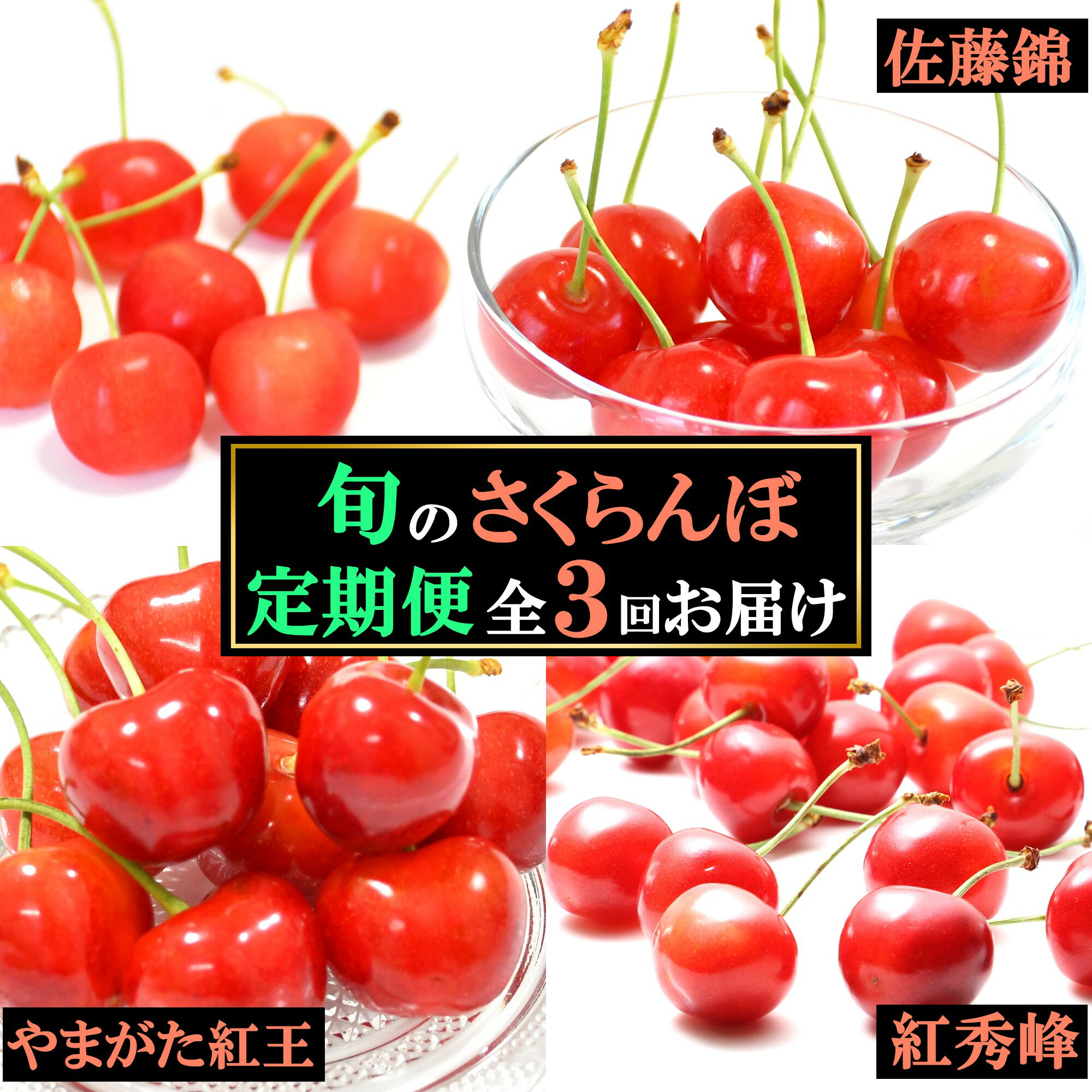 【ふるさと納税】【楽天限定】《先行予約》 令和8年産 さくらんぼ 3回 定期便 （ 佐藤錦 やまがた紅王 紅秀峰 ） 秀品 合計 1.2kg 山形県産 【2026年6月上旬頃から発送開始予定】 ※配送不可 沖縄・離島 2026年産 山形産 お取り寄せ フルーツ 果物 特産 東北