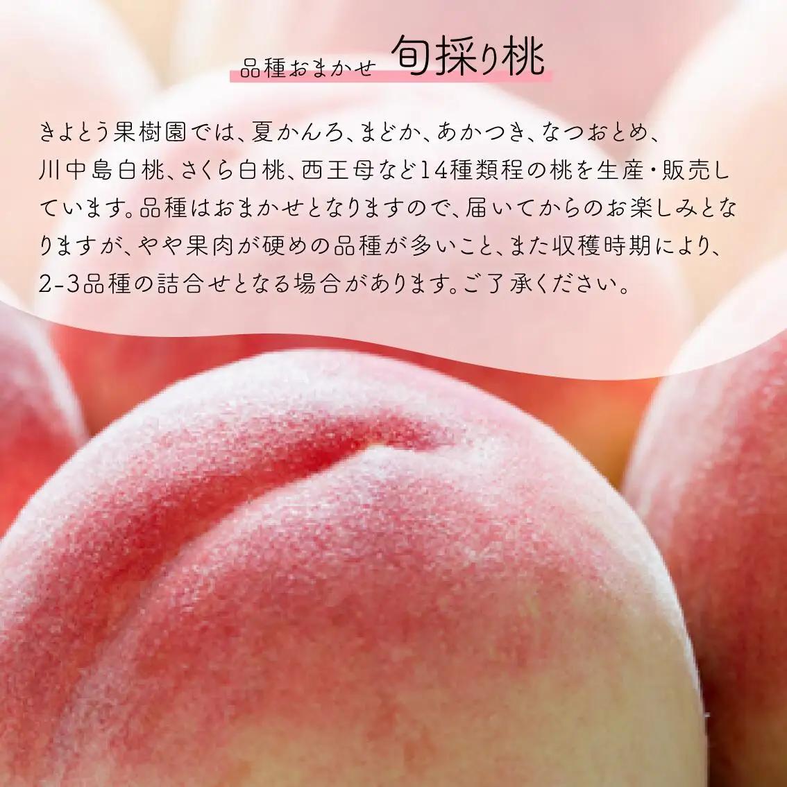 【厳選品】旬の桃(品種おまかせ) 大玉3玉 (岡山県産)  【KF-A016-03】