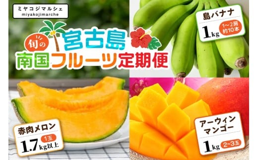 JH023【3回定期便】宮古島 旬の南国フルーツ定期便　(株)フラモン