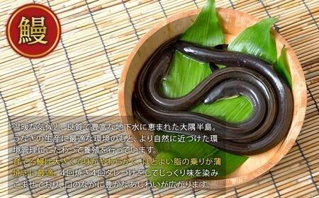 【定期便全6回】うなぎ蒲焼・黒豚・豚コース　～豊かな自然が宝物　みんなで紡ぐ定期便～