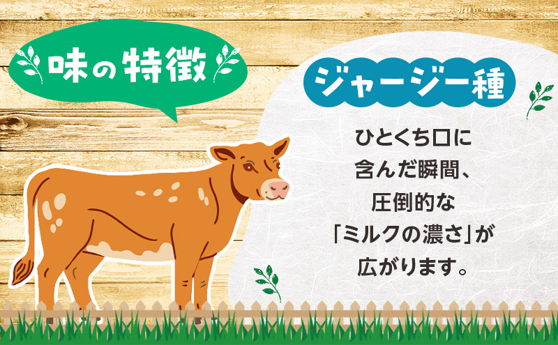 定期便 3ヵ月連続 全3回 のむヨーグルト 生乳100%使用 500ml×6