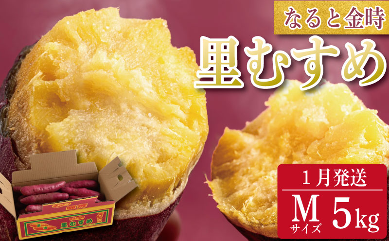 なると金時 里むすめ 5kg Mサイズ 1月発送 《 徳島と言えば なると金時 ！》 さつまいも 鳴門金時 いも 芋 焼き芋 干し芋 スイーツ 貯蔵庫 熟成 国産 ブランド お土産 徳島 鳴門