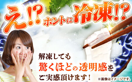 【ふるなび限定】剣先イカ 刺身用 500g [JCC024] イカ刺し FN-Limited-PR