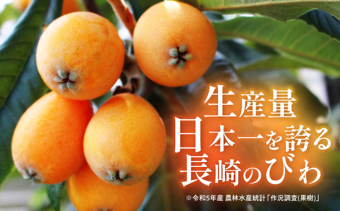 【最速発送】茂木びわゼリー 12個 / びわ ビワ 枇杷 ビワゼリー びわゼリー 枇杷ゼリー ゼリー / 諫早市 / 有限会社あじさい [AHAH003] スピード 最短 最速 発送