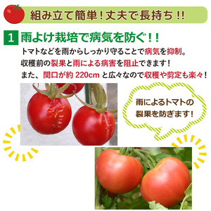 daim 雨よけセットDX ワイド 野菜栽培 雨よけハウス [I-18401]