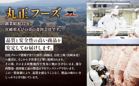 宮崎県産豚肉ミックス2.4kgセット【真空小分け】3種の料理(切り落とし・しゃぶしゃぶ・焼肉)が楽しめるバラエティ詰め合わせ