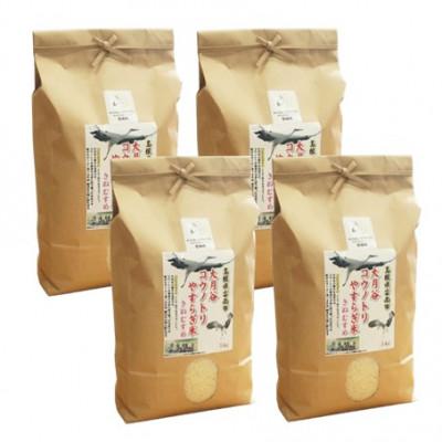 ふるさと納税 雲南市 島根県雲南市「大月谷コウノトリやすらぎ米」きぬむすめ20kg(5kg×4) |  | 03