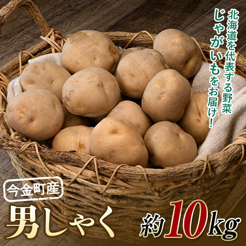 【ふるさと納税】【先行予約】北海道今金町産男爵いも 約10kg 【2025年10月下旬以降順次出荷】 北海道産 じゃがいも 男爵 だんしゃく 芋 いも イモ ほくほく しっとり 常備野菜 北海道産 F21W-486