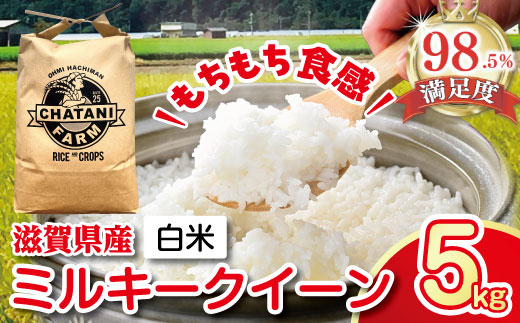 【新米】【7年産】近江米　ミルキークイーン 白米【5kg×1袋】【V009W1】