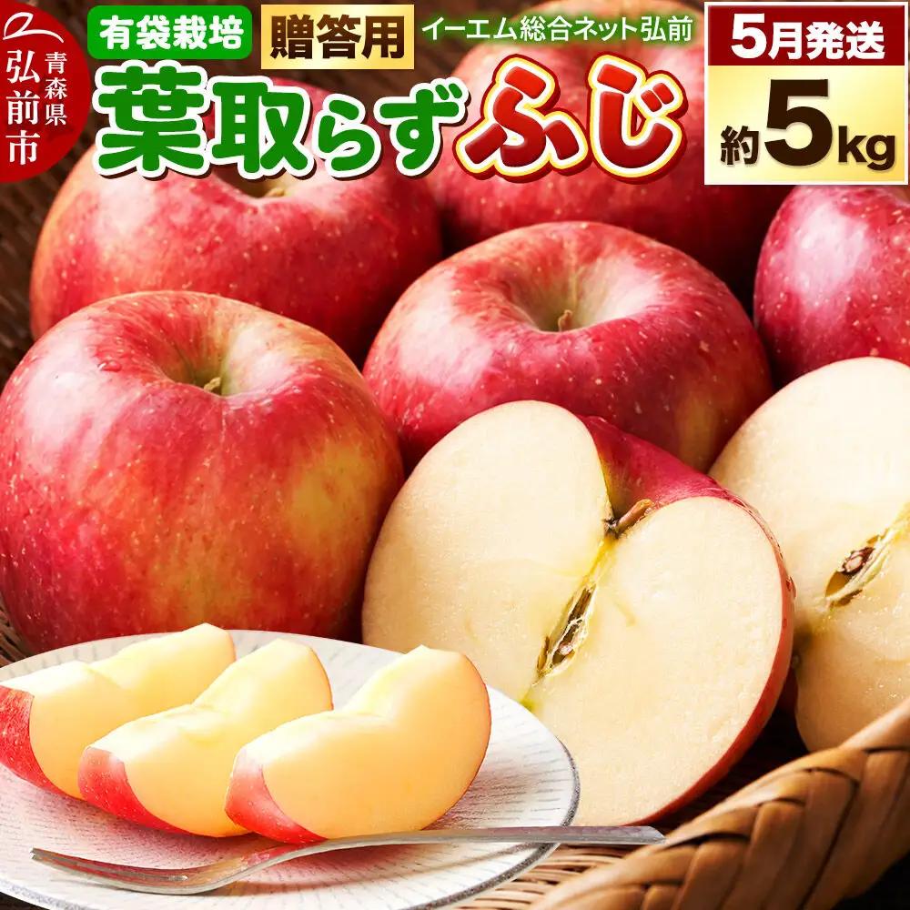 りんご 葉取らず ふじ 贈答用 約5kg【5月クール便発送】りんご