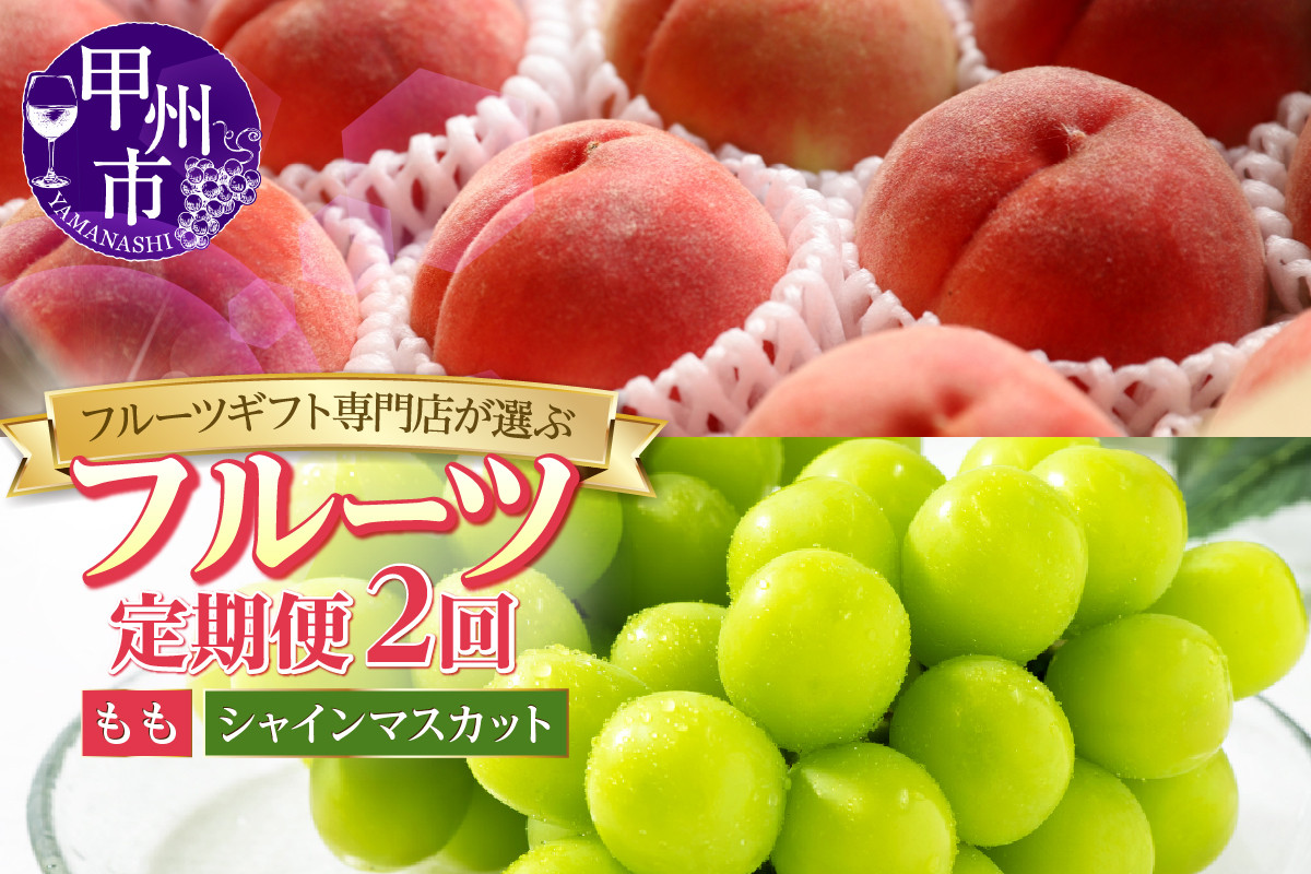 
            【定期便】フルーツギフト専門店が選ぶ甲州市の厳選フルーツ定期便 全2品種（桃・シャインマスカット）【2025年発送】（HNT）C5-180 【桃 もも モモ シャインマスカット 葡萄 ぶどう ブドウ 令和7年発送 期間限定 山梨県産 甲州市 フルーツ 果物 】
          