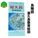 【ふるさと納税】屋久島散策絵図【俯瞰絵図・地図・俯瞰図・旅行・登山】