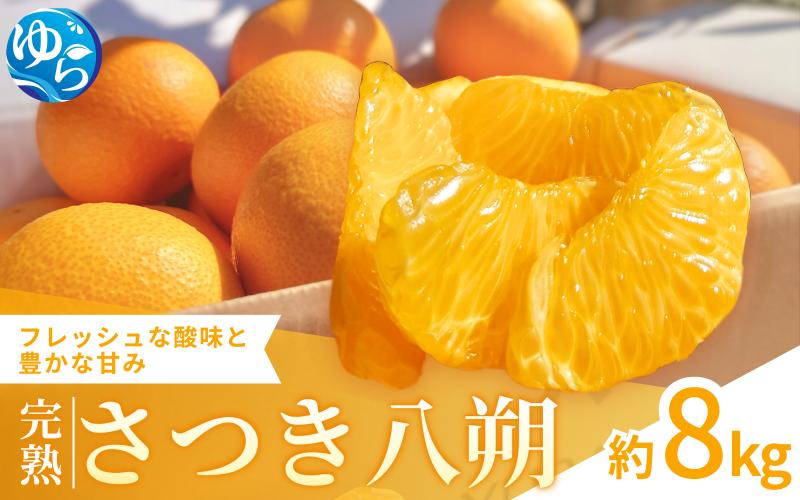 
            【来シーズン先行予約】完熟さつき八朔 約8kg【2026年3月下旬頃から発送予定】 / はっさく ハッサク 柑橘 由良町 果物 フルーツ くだもの 産地直送 和歌山【kzmn001】
          