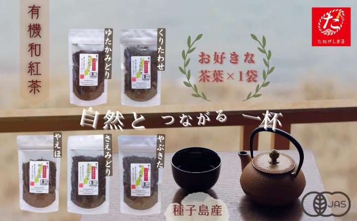 
            【たねがしまる4000】種子島 の 選べる  有機 和紅茶 茶葉 （リーフ）１種  NFN936【100pt】
          