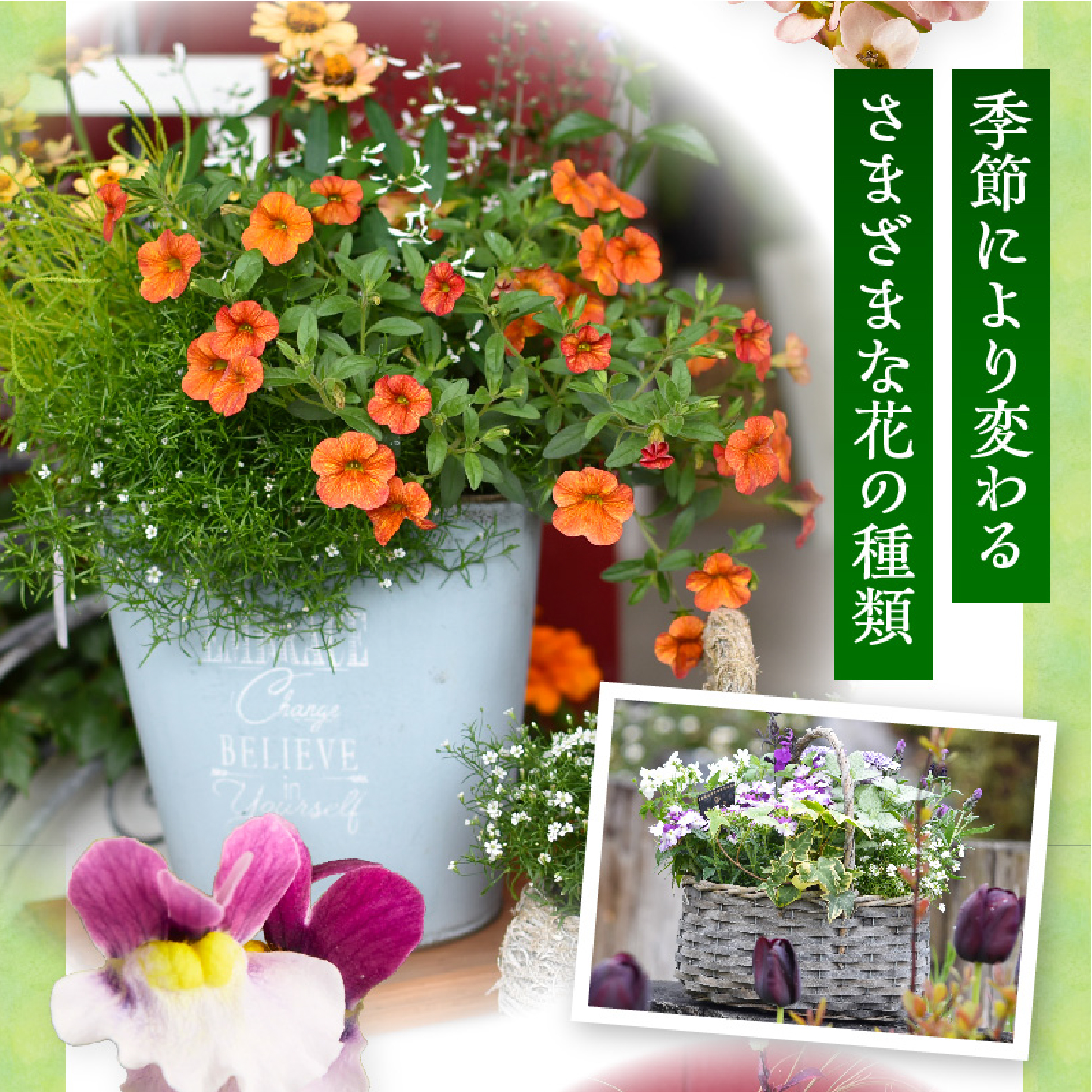 【お手軽ガーデニング】季節の寄せ植え<風の丘ガーデン>_イメージ4