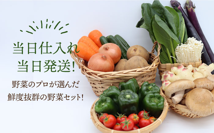 【12回定期便】野菜定期便 キノコをセット「12回（毎月）」お届け 10品目以上 詰め合わせ 12回 きのこ 新鮮 毎月 定期 旬 野菜セット / 南島原市 / 吉岡青果 [SCZ007]