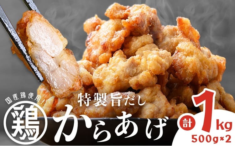 【訳あり・業務用】特製旨だしからあげ 計1kg a1-183