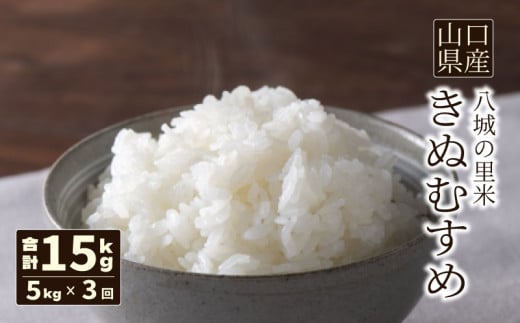 【先行予約】【定期便 3ヶ月】きぬむすめ 精米 5kg 計15kg
