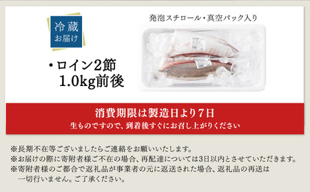 KU281＜2026年4月発送分＞活じめ！黒瀬ぶりの生鮮ブリロイン2節（1.0kg前後）