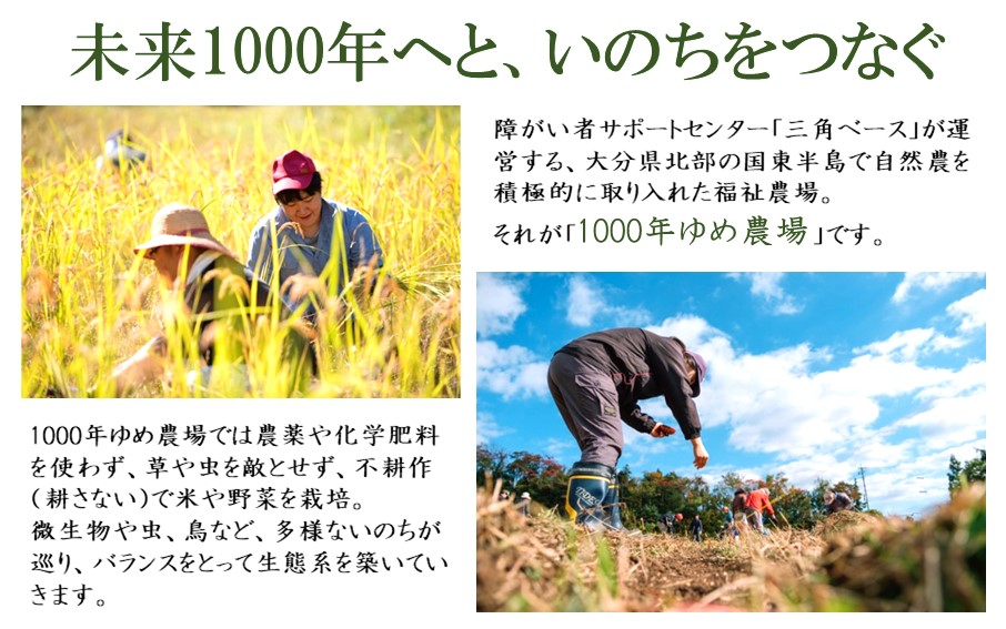 1000年ゆめ農場「桑の葉茶」10包×3パック_1965R