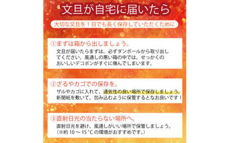 【訳あり】 文旦 10kg ぶんたん みかん 愛媛県 愛南町 山口農園