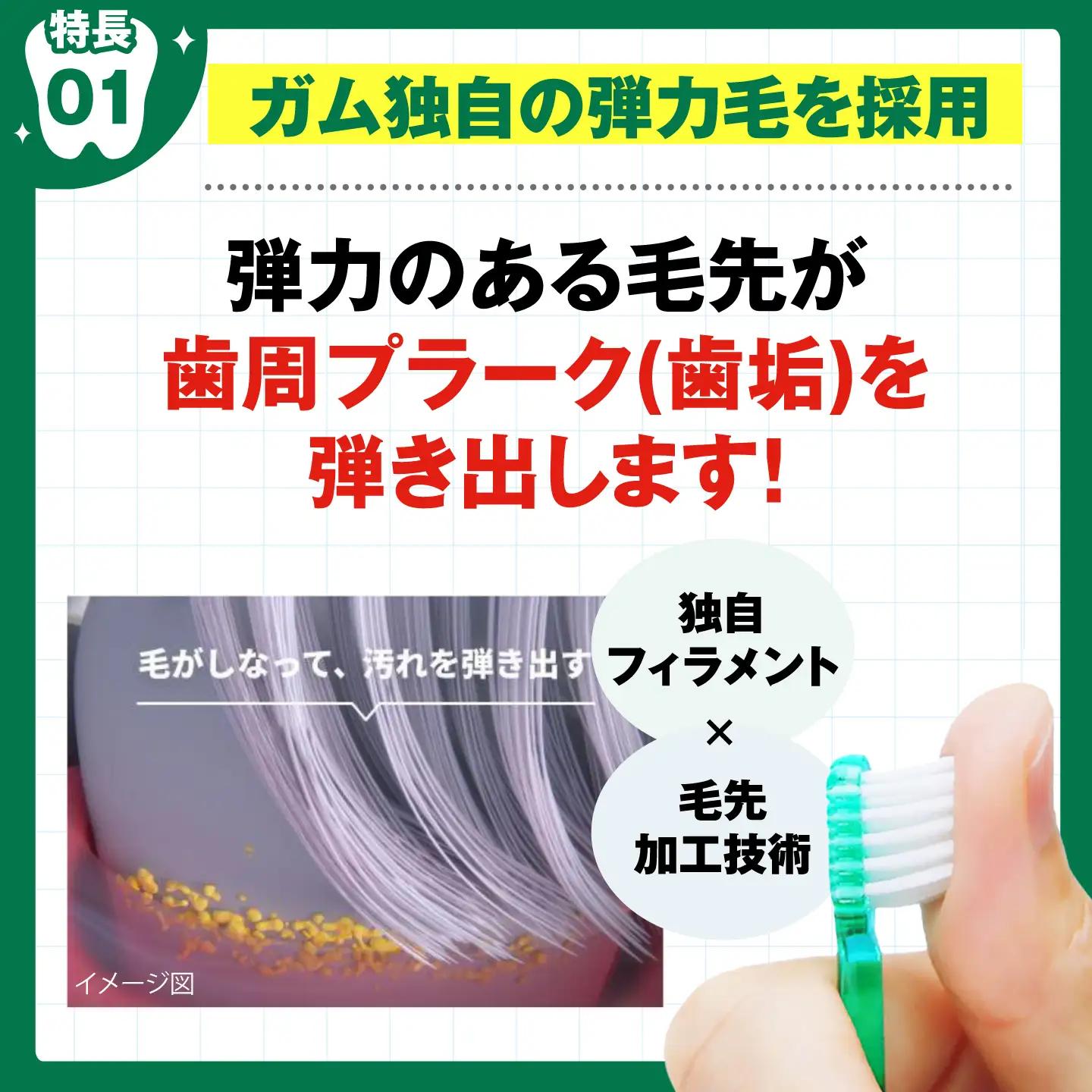 ガム・歯ブラシ 【ふつう・先細】計12本 AOAD084 歯ブラシ