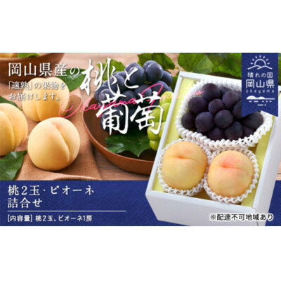 【ふるさと納税】【2026年発送】桃・ピオーネ詰合せ(白桃晩生種2玉・ニューピオーネ1房)　合計約1.0kg【配送不可地域：離島】【1614041】