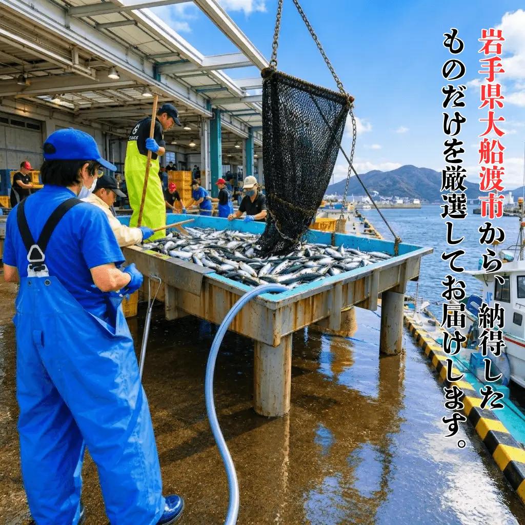 三陸の鮮魚便 2人~3人用 冷蔵 
