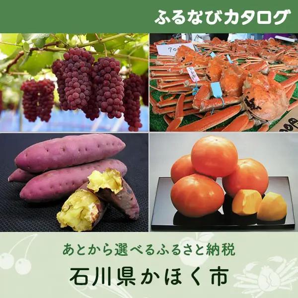【有効期限なし！後からゆっくり特産品を選べる】石川県かほく市カタログポイント