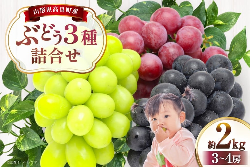 
            【期間限定発送】 ぶどう 詰め合わせ 2kg 3〜4房 ( シャインマスカット クイーンニーナ 高尾 ピオーネ ) [冨樫商店 山形県 高畠町 tk06ayt290004] ぶどう ブドウ 葡萄 マスカット 大粒 種なし 果物 くだもの フルーツ
          