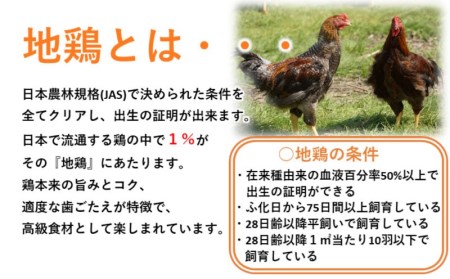 妻地鶏焼き鳥セット45　8種類48本＜1.5-186＞