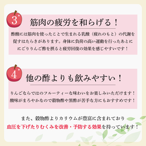 にごり黄金のりんご酢 5本セット [a9141] りんご酢