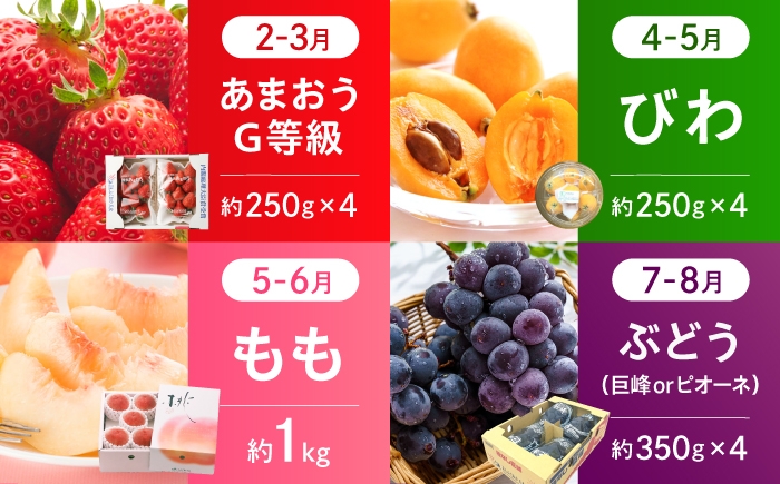 フルーツ定期便 ふるーつ定期便 果物定期便 くだもの定期便