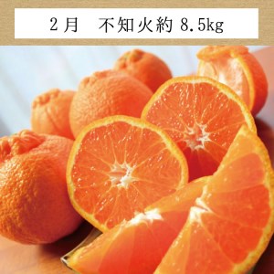 【3か月定期便】たっぷり届く♪訳ありみかんの定期便【tkb113】