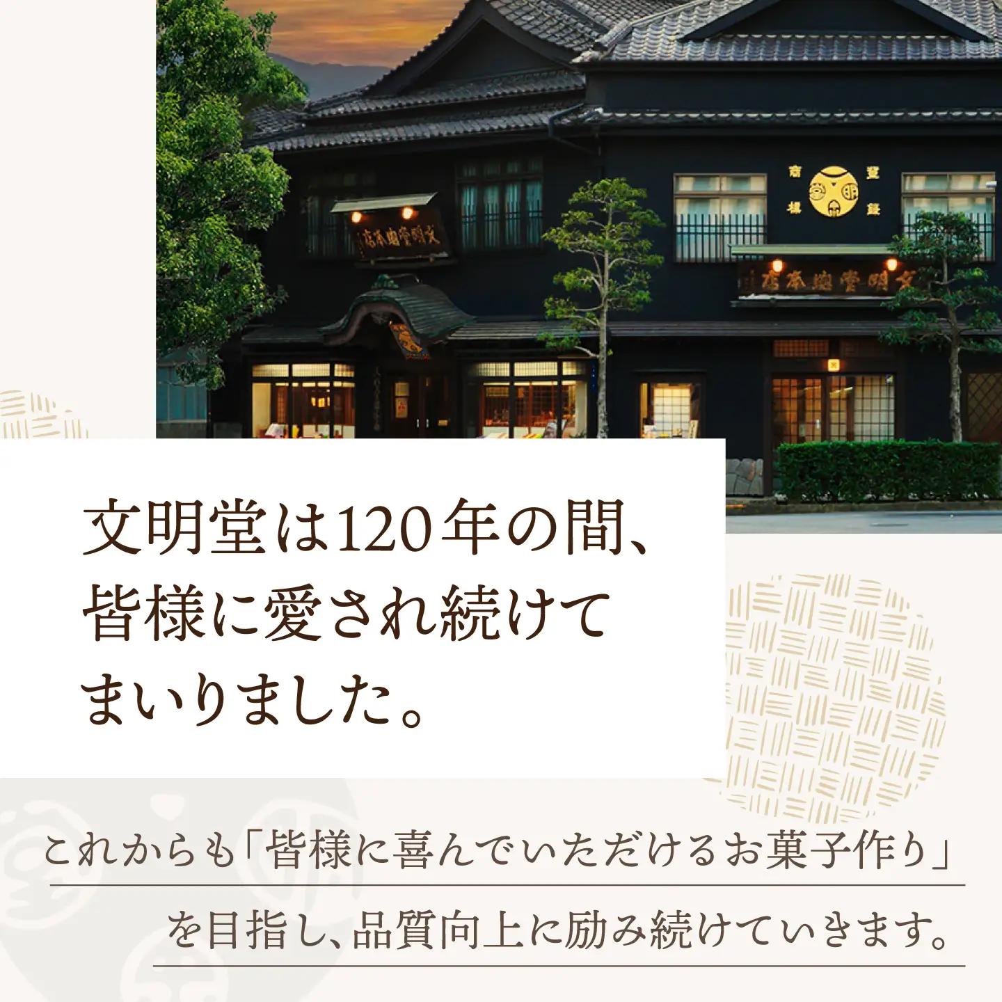 【こだわりの逸品】 長崎カステラ ［1号］（1号10切入×1本入）【文明堂総本店】[QAU028]
