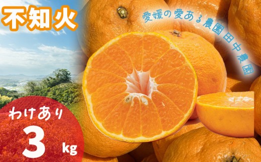 【2027年2月下旬頃から順次発送】不知火 しらぬい 約3kg  訳あり でこぽんと同品種 愛媛産 愛媛県産 国産 愛媛みかん 愛媛蜜柑 愛媛ミカン みかん ミカン mikan 柑橘類 訳アリ ワケアリ 蜜柑 柑橘 フルーツ 果物 くだもの お取り寄せ 産地直送 数量限定 人気 おすすめ 愛媛県 松山市 田中農園