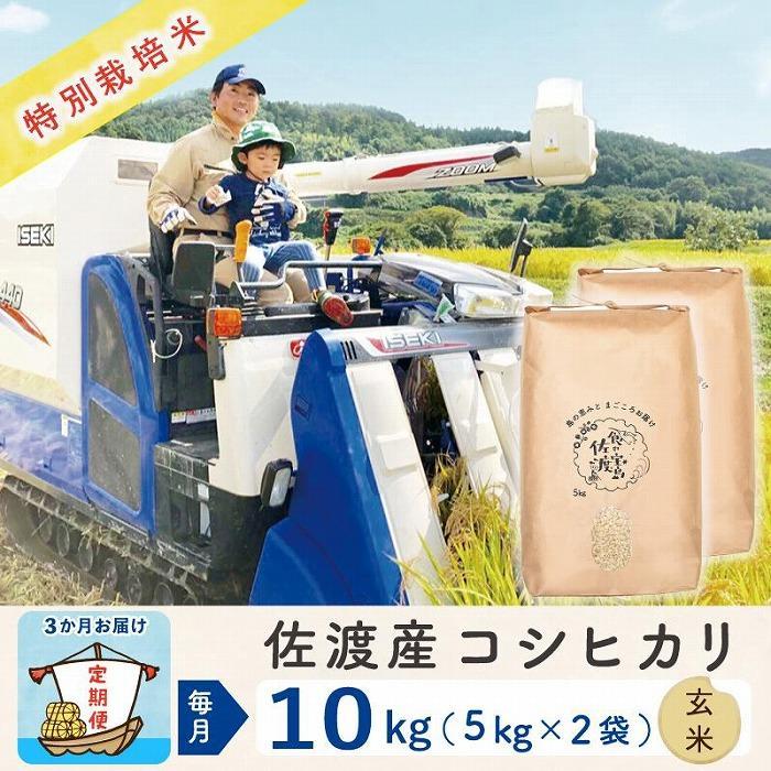 【ふるさと納税】【新米予約 3か月定期便】佐渡島産コシヒカリ 玄米10Kg 令和7年 特別栽培米 農家直送 | お米 こめ 白米 食品 人気 おすすめ 送料無料