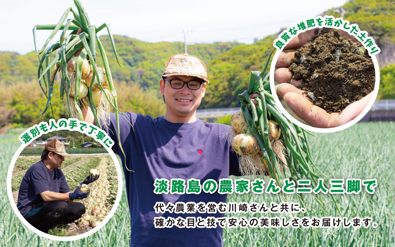 海月館 自社農場栽培！淡路島産 玉ねぎ