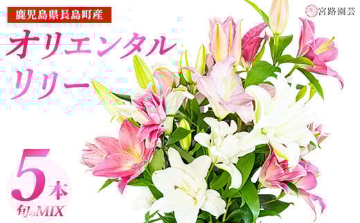 
            オリエンタルリリー（ユリ）旬のミックス 5本 ユリ 花 ユリの花 百合 ゆり 生花 切花 切り花 【宮路園芸】miyaji-7004-oya
          