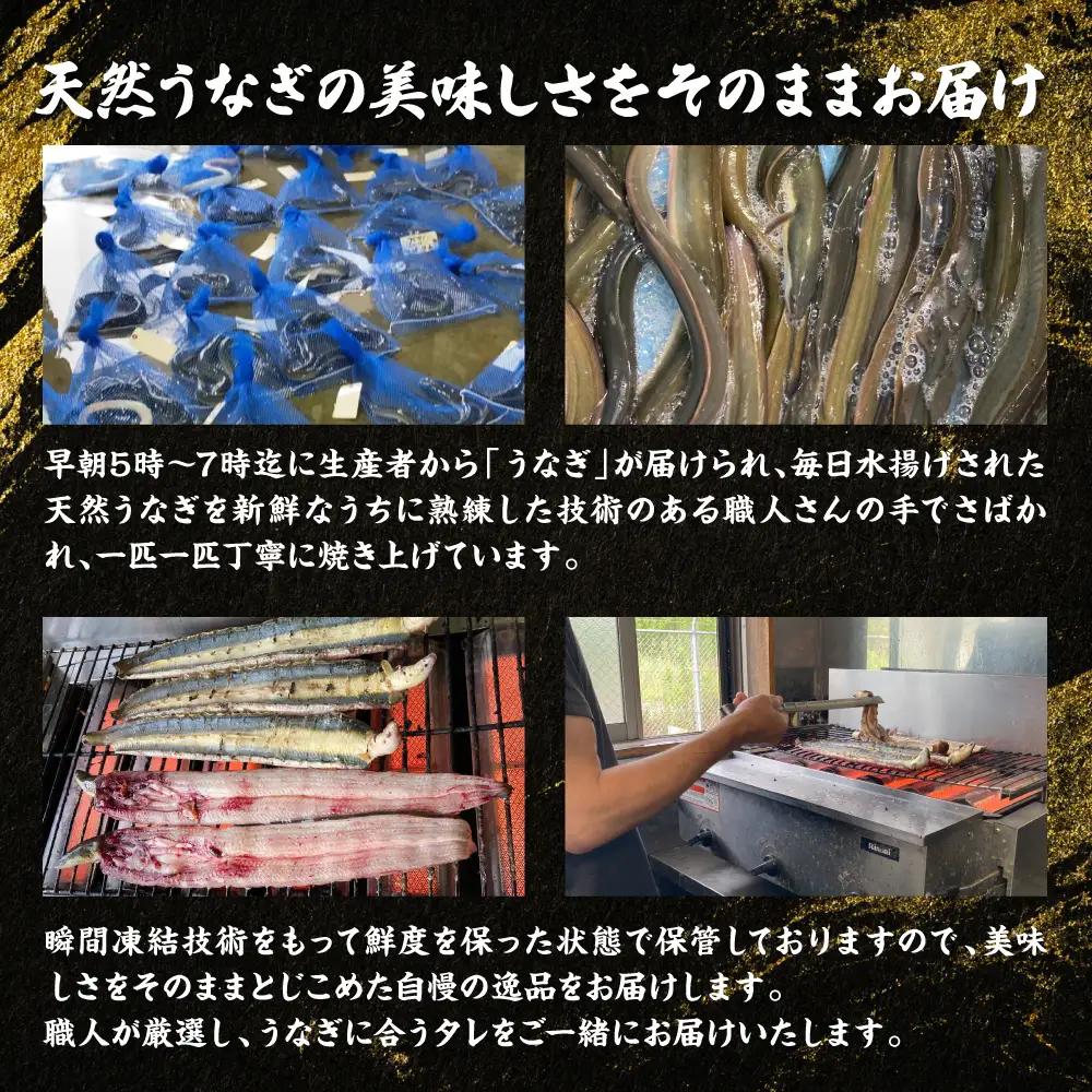 うなぎ 熊本県八代市産 天然うなぎ 白焼 (大) 2尾 合計450g前後 蒲焼のたれ付き うなぎ